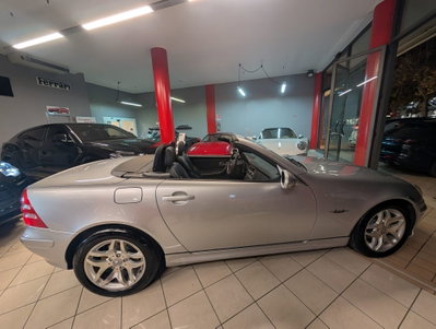 Mercedes-Benz SLK 200 Kompressor cat (14)
