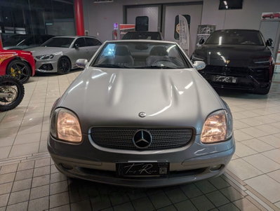 Mercedes-Benz SLK 200 Kompressor cat (6)