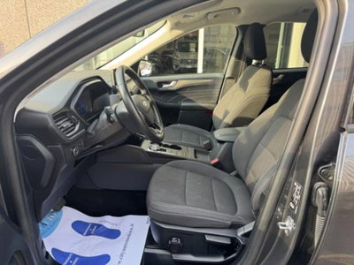 Ford Kuga 2.0 EcoBlue 120CV aut. AWD ST-Line X (5)