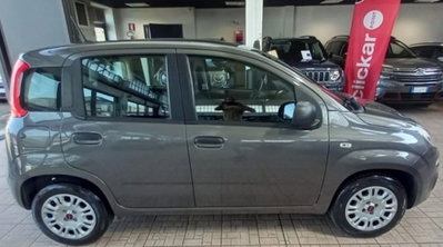 Fiat Panda 1.2 Easy (2)