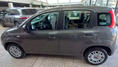 Fiat Panda 1.2 Easy (4)