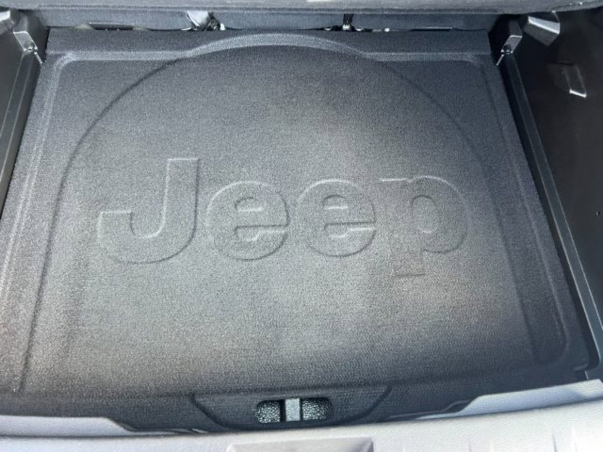 Jeep Renegade 1.6 Mjt 105 CV Business (18)