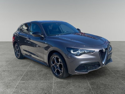 Alfa Romeo Stelvio Stelvio 2.2 Turbodiesel 160 CV AT8 RWD Sprint (8)