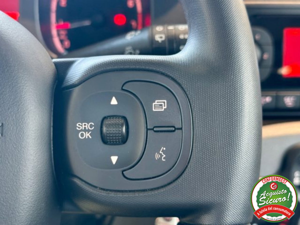 Fiat Panda 1.0 FireFly S&S Hybrid City Cross (19)