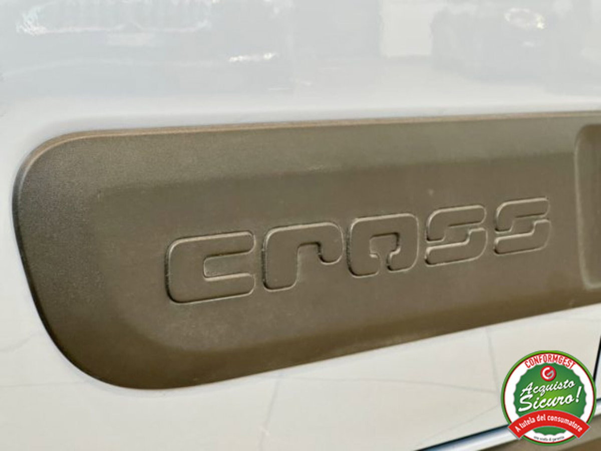 Fiat Panda 1.0 FireFly S&S Hybrid City Cross (8)