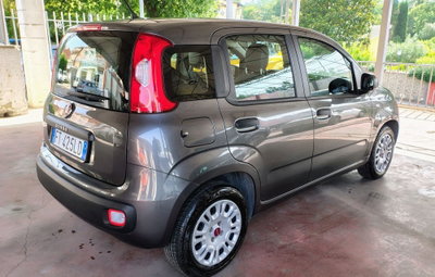 Fiat Panda 1.2 EasyPower Easy (5)