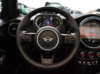 MINI Mini Cabrio 2.0 Cooper S Resolute Cabrio (15)