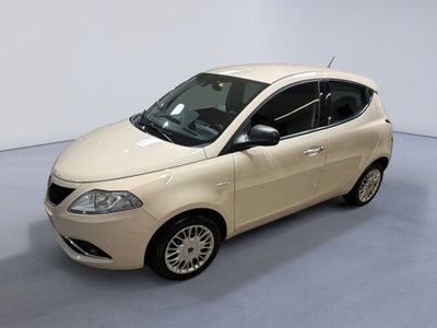 Lancia Ypsilon 1.2 69 CV 5 porte Gold (3)