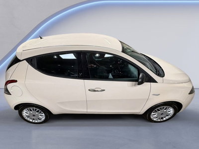 Lancia Ypsilon 1.2 69 CV 5 porte Gold (5)