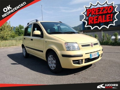 Fiat Panda 1.2 4x4 usata