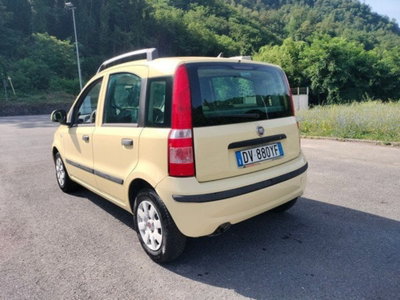 Fiat Panda 1.2 4x4 (8)