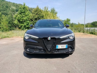 Alfa Romeo Stelvio Stelvio 2.2 Turbodiesel 160 CV AT8 RWD Sprint (2)