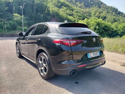 Alfa Romeo Stelvio Stelvio 2.2 Turbodiesel 160 CV AT8 RWD Sprint (8)