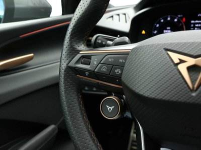 Cupra Terramar 1.5 hybrid 150cv dsg (13)