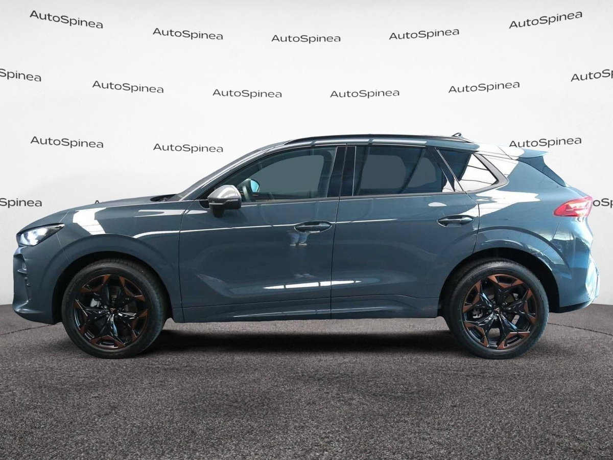 Cupra Terramar 1.5 hybrid 150cv dsg (4)