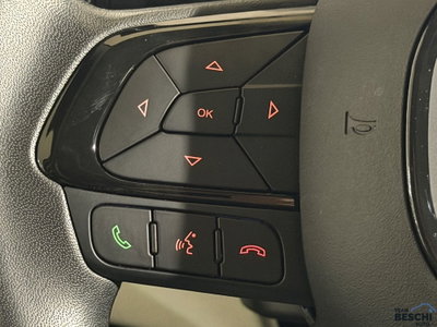Fiat Pandina 1.0 firefly hybrid s&s 65cv (7)