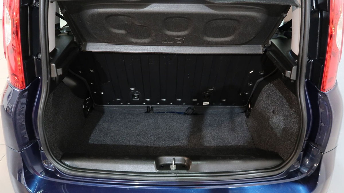Fiat Panda 1.0 FireFly S&S Hybrid City Cross (15)