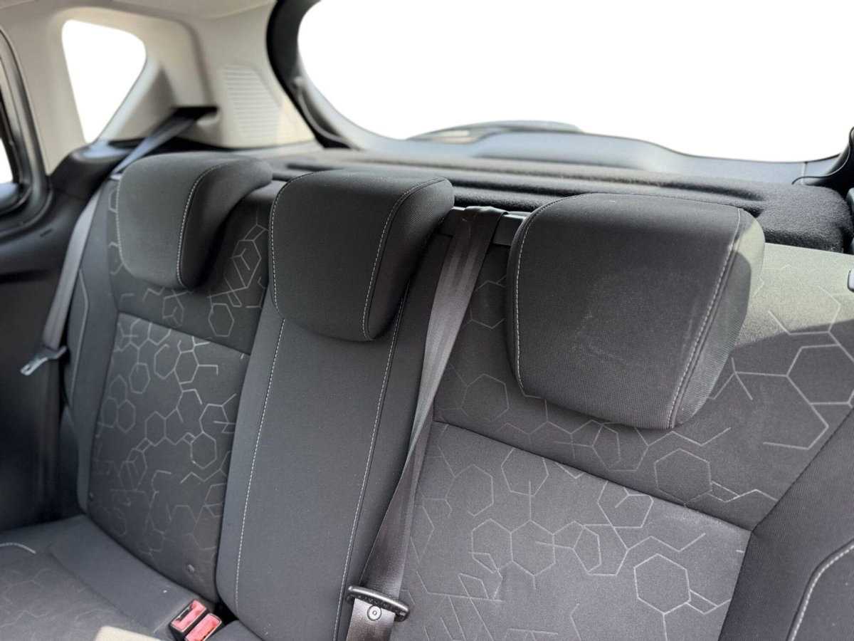 Ford B-Max B-Max 1.4 90 CV GPL Titanium (17)