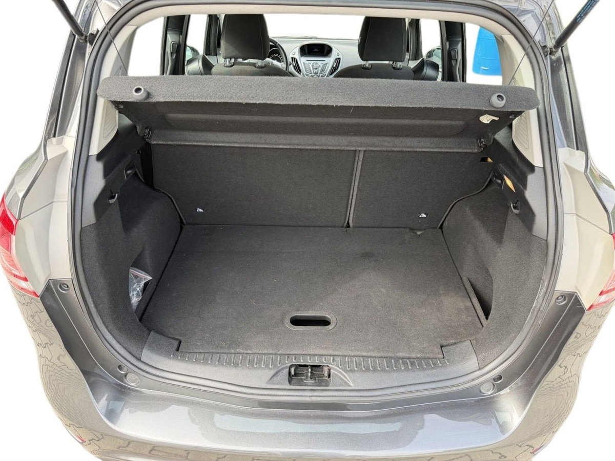 Ford B-Max B-Max 1.4 90 CV GPL Titanium (9)