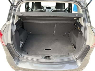 Ford B-Max B-Max 1.4 90 CV GPL Titanium (9)