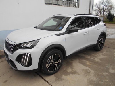 Peugeot 2008 54 kWh Allure (10)