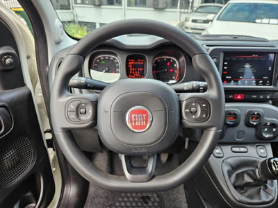 Fiat Panda Cross Cross 1.0 FireFly S&S Hybrid (14)