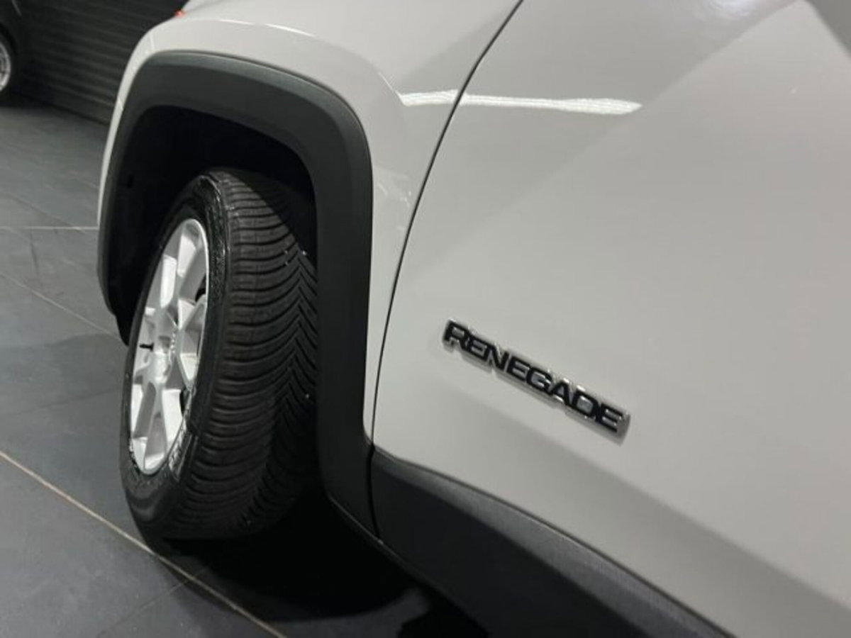 Jeep Renegade 1.6 Mjt 120 CV Longitude (6)