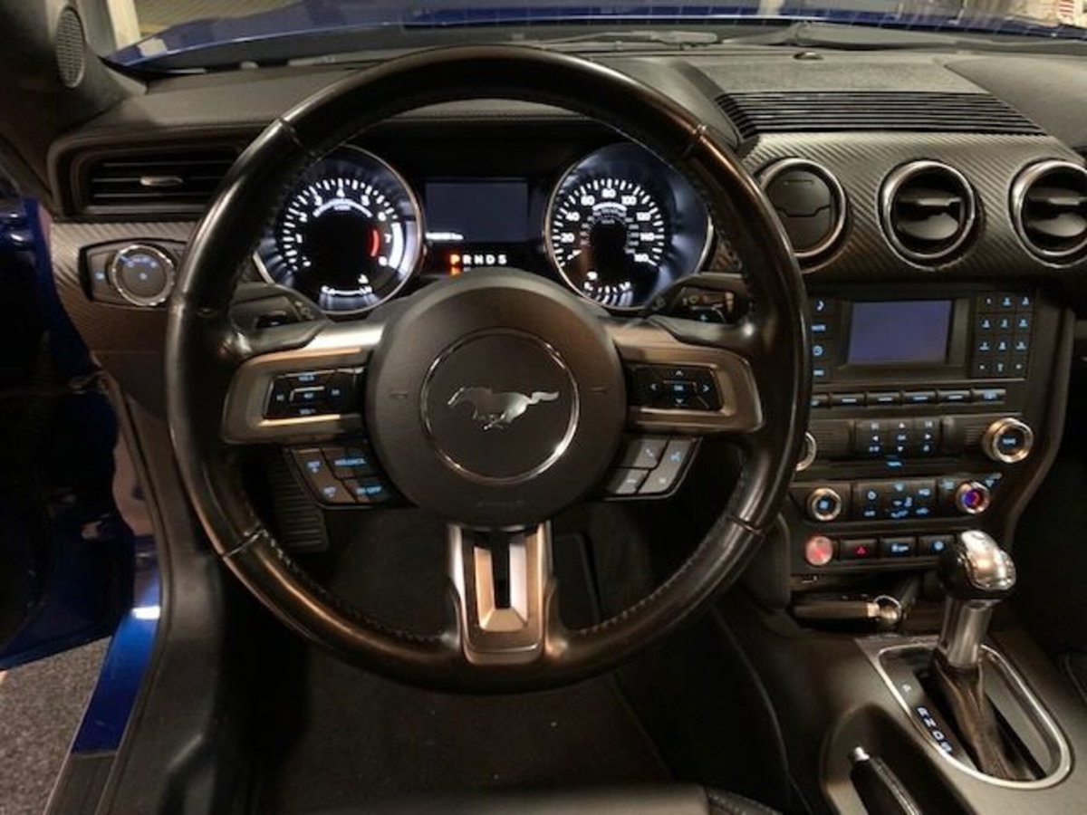 Ford Mustang Coupé Fastback 2.3 EcoBoost (13)