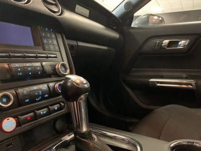 Ford Mustang Coupé Fastback 2.3 EcoBoost (14)