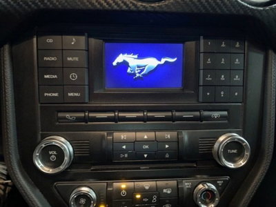 Ford Mustang Coupé Fastback 2.3 EcoBoost (16)