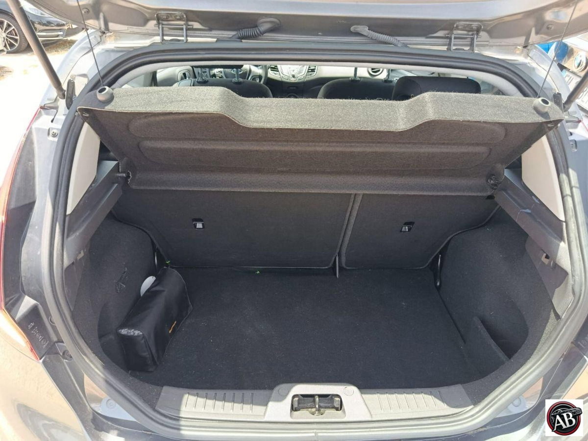 Ford Fiesta 1.4 5 porte Bz.- GPL Business N1 (13)