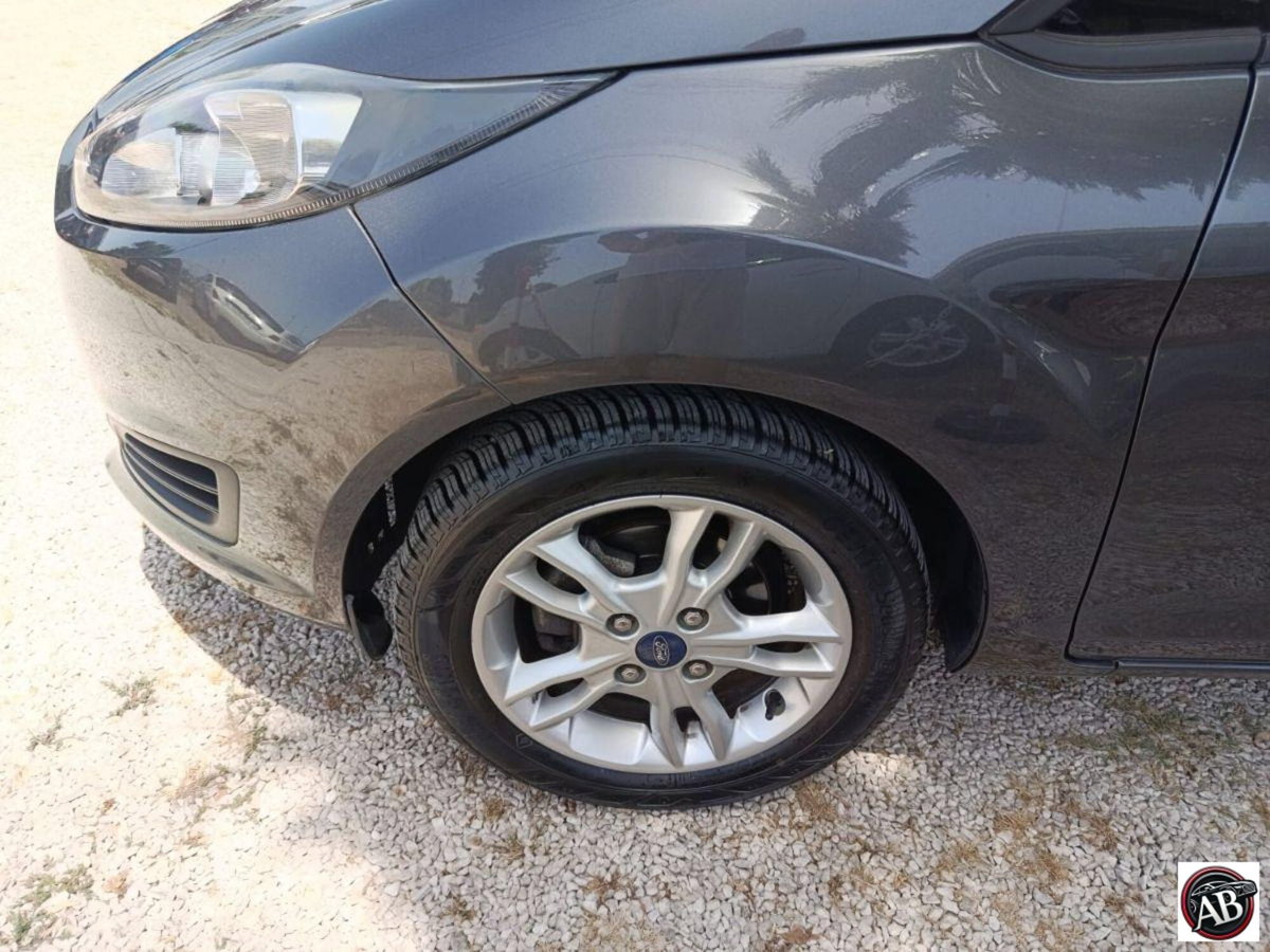 Ford Fiesta 1.4 5 porte Bz.- GPL Business N1 (17)