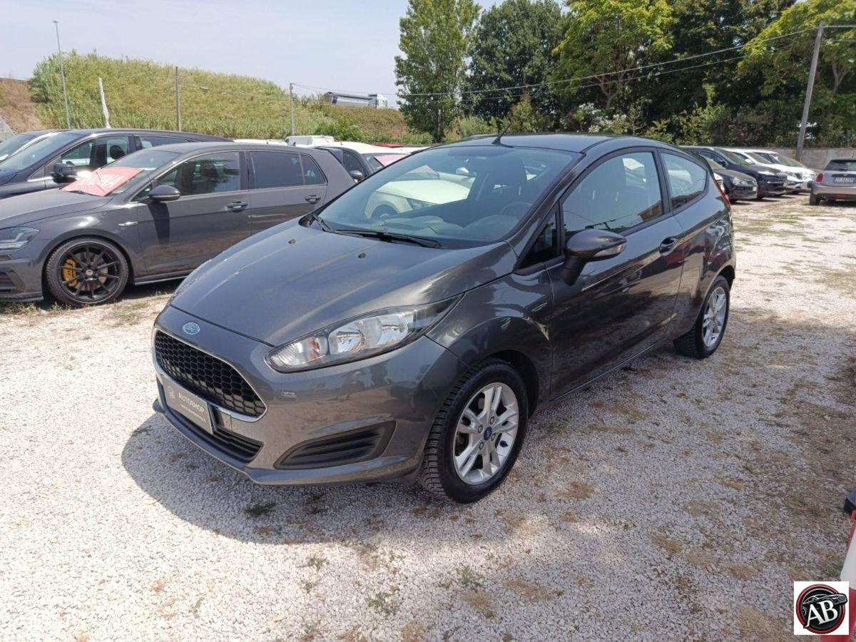 Ford Fiesta 1.4 5 porte Bz.- GPL Business N1 (2)