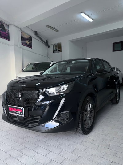 Peugeot 2008 PureTech 100 S&S Active (3)