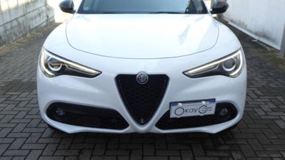 Alfa Romeo Stelvio Stelvio 2.2 Turbodiesel 190 CV AT8 Q4 B-Tech (5)