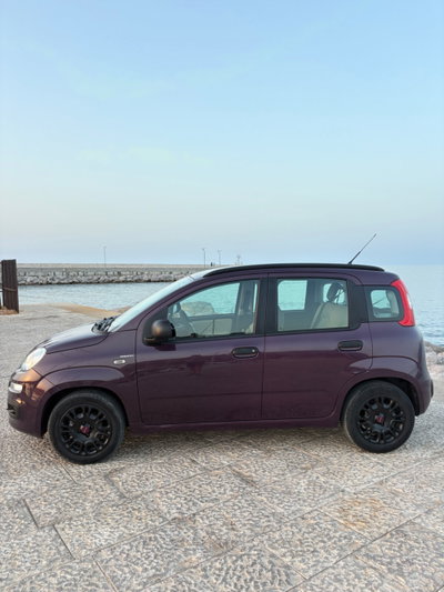 Fiat Panda 1.3 MJT S&S Pop (4)