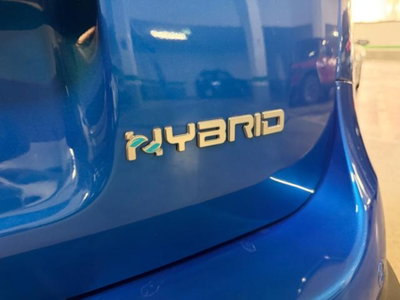 Fiat Panda Cross 1.0 firefly hybrid Cross s&s 70cv 5p.ti (14)