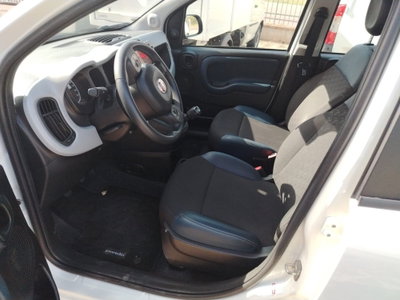 Fiat Panda 1.0 FireFly S&S Hybrid City Cross (4)
