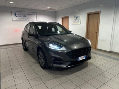 Ford Kuga 1.5 EcoBlue 120 CV 2WD ST-Line usata