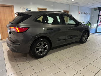 Ford Kuga 1.5 EcoBlue 120 CV 2WD ST-Line (4)