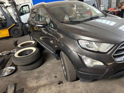 Ford EcoSport 1.0 EcoBoost 100 CV Business (6)
