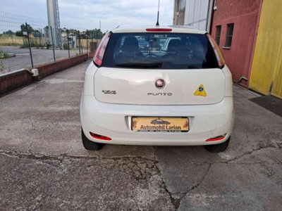 Fiat Punto 1.4 8V 3 porte Natural Power Street (6)