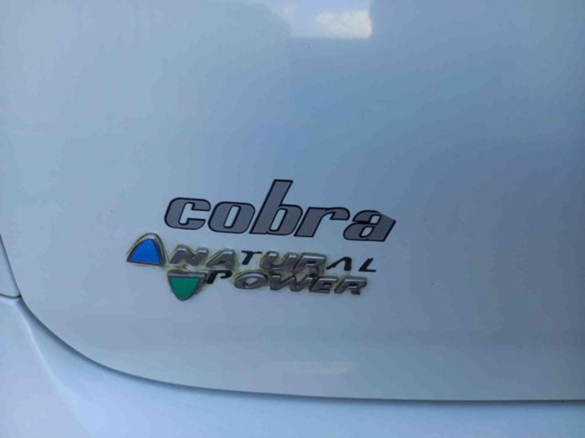 Fiat Punto Evo 1.4 5 porte Emotion Natural Power (11)