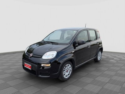 Fiat Panda Cross Cross 1.0 FireFly S&S Hybrid usata