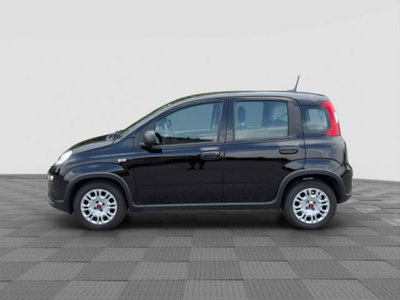 Fiat Panda Cross Cross 1.0 FireFly S&S Hybrid (2)