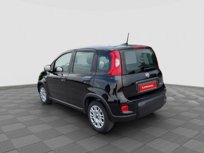 Fiat Panda Cross Cross 1.0 FireFly S&S Hybrid (3)
