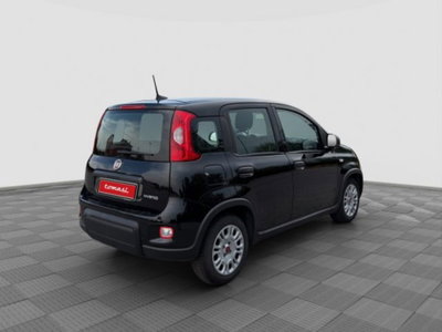 Fiat Panda Cross Cross 1.0 FireFly S&S Hybrid (5)