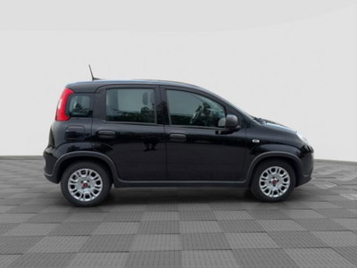 Fiat Panda Cross Cross 1.0 FireFly S&S Hybrid (6)