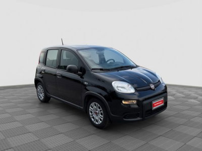 Fiat Panda Cross Cross 1.0 FireFly S&S Hybrid (7)
