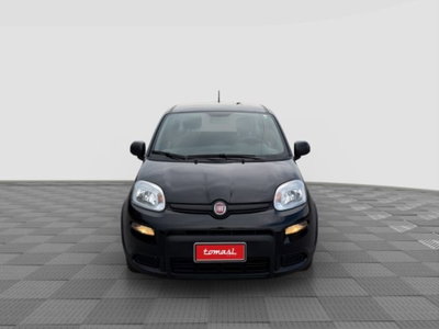 Fiat Panda Cross Cross 1.0 FireFly S&S Hybrid (8)